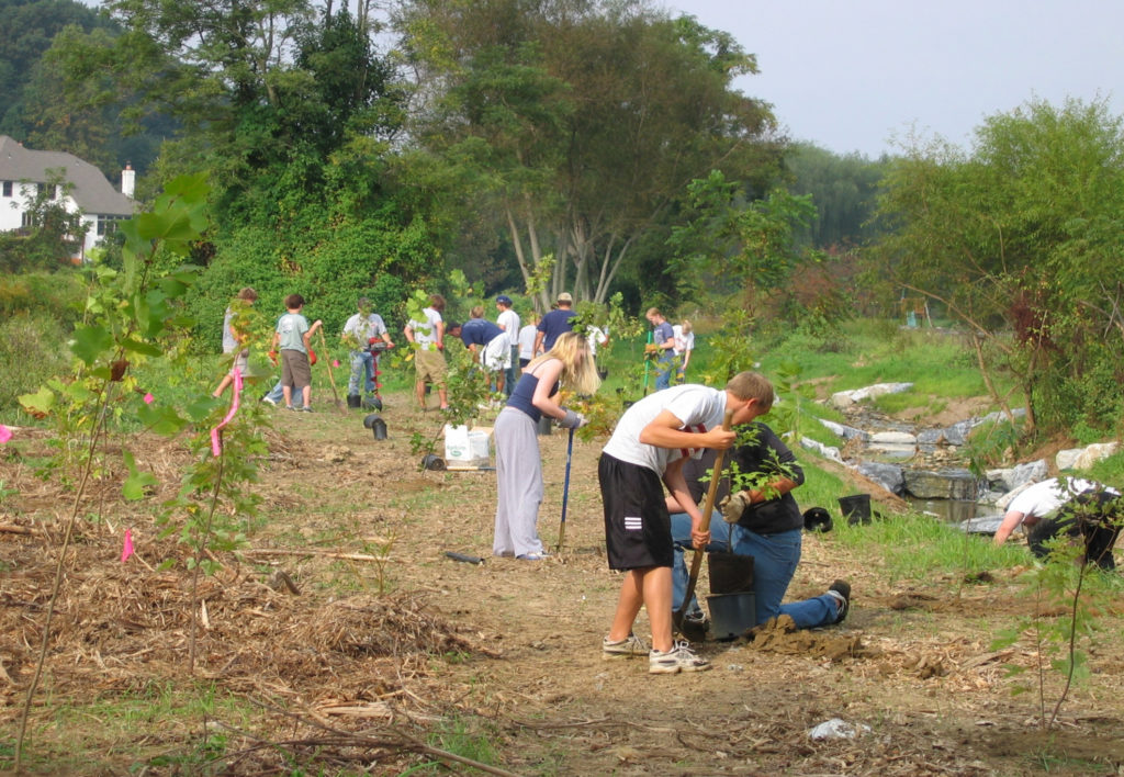 Miller's Run Restoration Project | Little Conestoga Watershed Alliance
