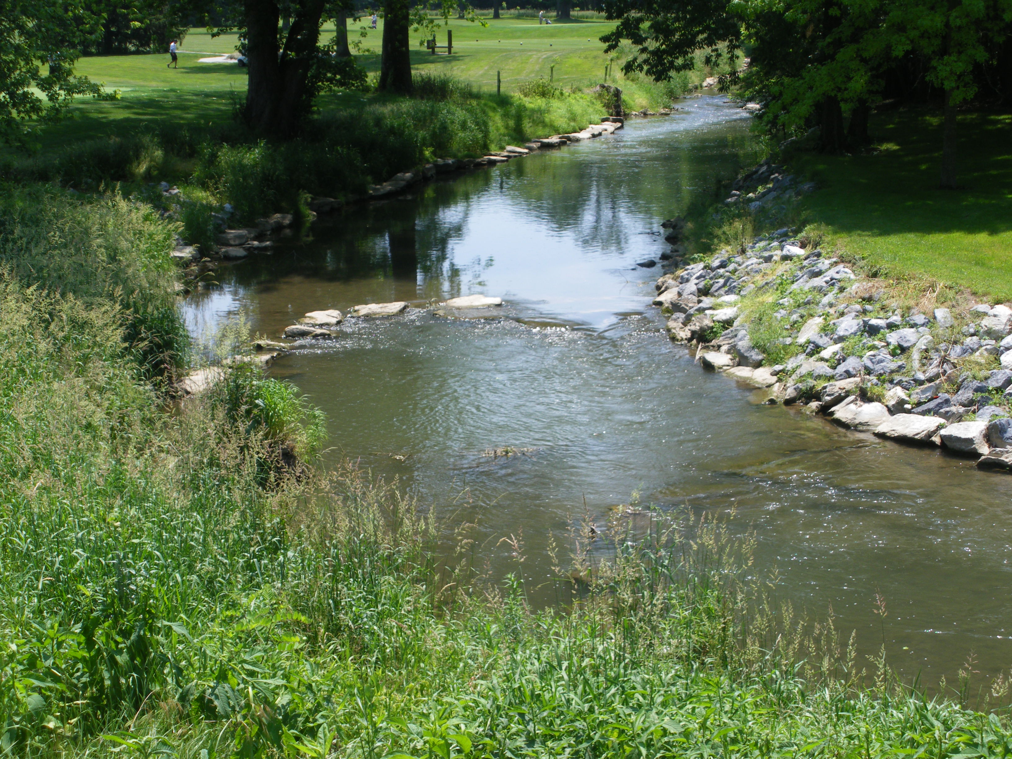 lcwa stream restoration