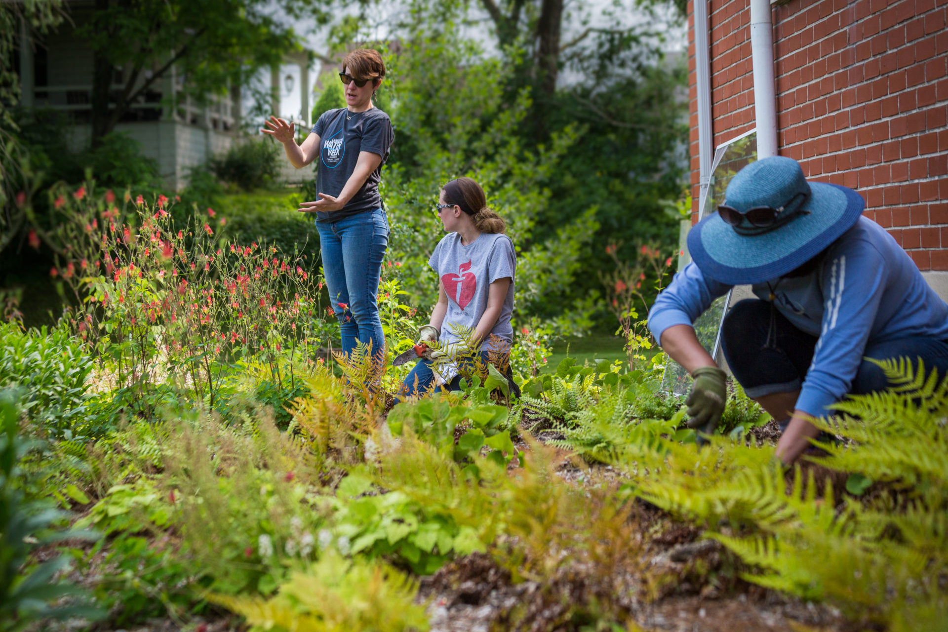 Home | Little Conestoga Watershed Alliance